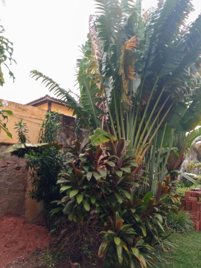 Zen Villas - Chales, Bem-Estar E Conexao Com A Natureza Lauro de Freitas Eksteriør bilde