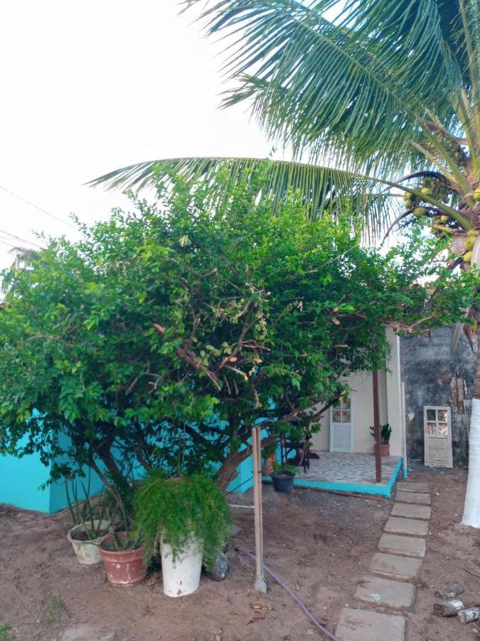 Zen Villas - Chales, Bem-Estar E Conexao Com A Natureza Lauro de Freitas Eksteriør bilde
