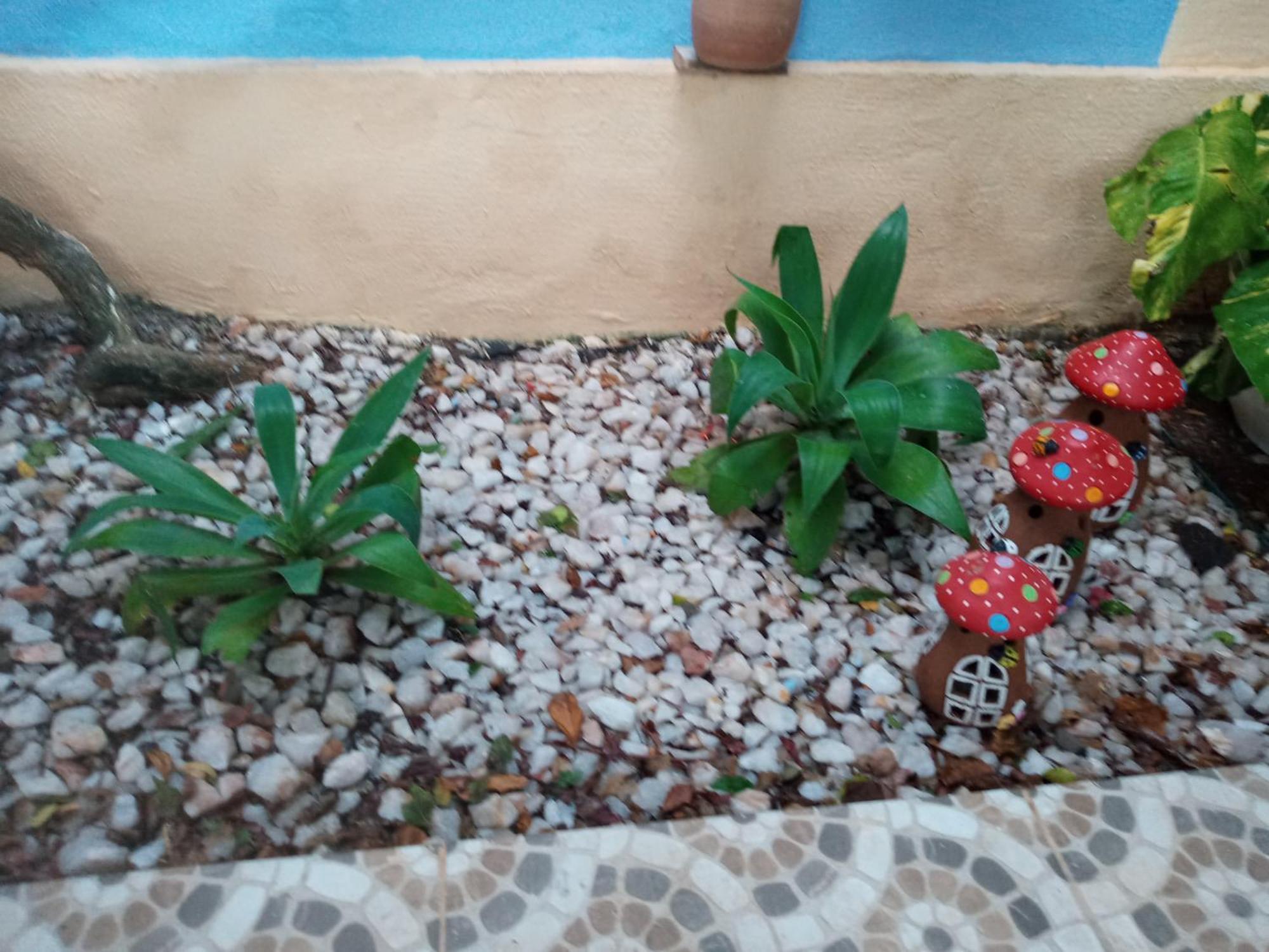 Zen Villas - Chales, Bem-Estar E Conexao Com A Natureza Lauro de Freitas Eksteriør bilde